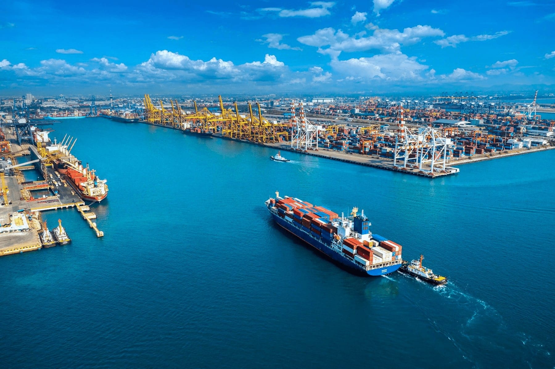 S-Line — Live cargo tracking for a 20-year freight firm